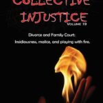 COLLECTIVE INJUSTICE (VOLUME 19)Divorce and Family Court: Insidiousness, malice, and playing with fire.- by Professor Dr. Mohamed Fayad