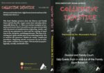 COLLECTIVE INJUSTICE (VOLUME 26)Divorce and Family Court: Ugly Events from in and out of the Family court Room 77- by Professor Dr. Mohamed Fayad - Image 2