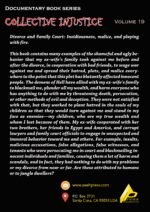 COLLECTIVE INJUSTICE (VOLUME 19)Divorce and Family Court: Insidiousness, malice, and playing with fire.- by Professor Dr. Mohamed Fayad - Image 3