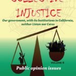 COLLECTIVE INJUSTICE (VOLUME2) Our California government and its institutions neither Listen nor Care by Professor Dr. Mohamed Fayad