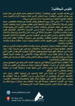 نفوس شيطانية ( المجلد الأول ) - الأستاذ الدكتور محمد فياض - Image 3